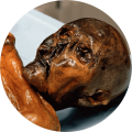 otzi